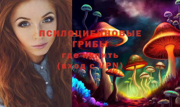 гидропоника Белоозёрский